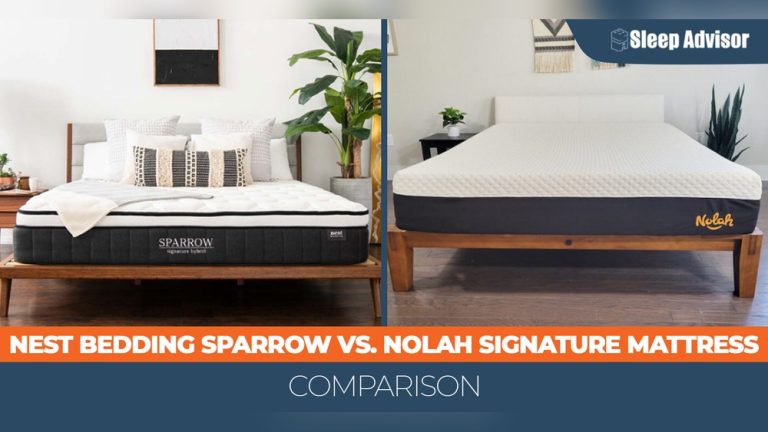 Alexander Signature Hybrid Vs Nolah