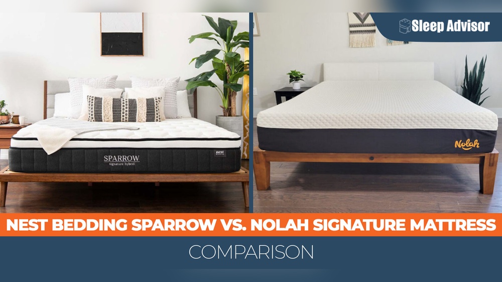 Alexander Signature Hybrid Vs Nolah