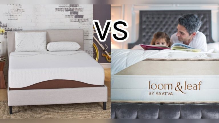 Amerisleep Vs Loom And Leaf