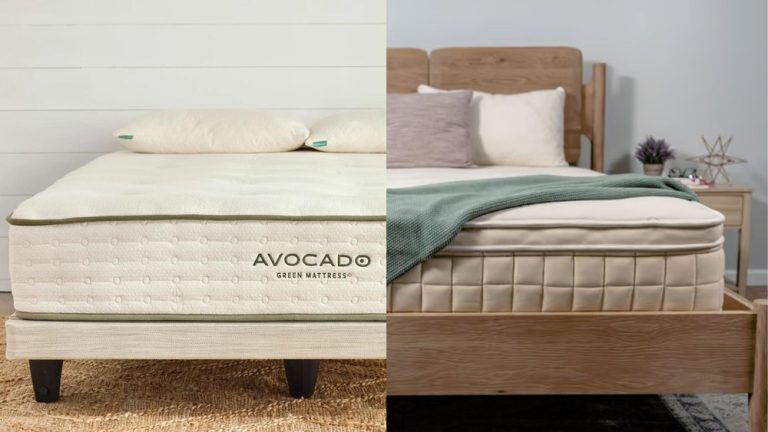 Avocado Vs Naturepedic Mattress