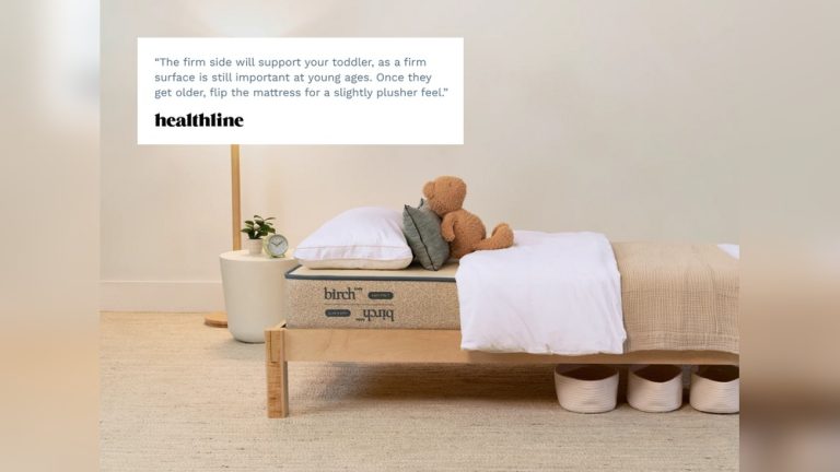 Ecosa Vs Plushbeds