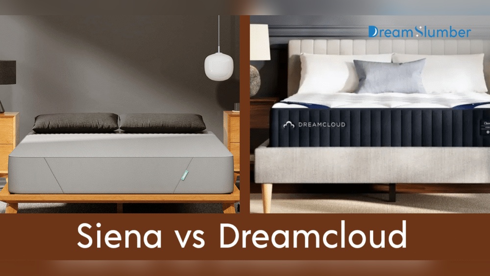 Siena Vs Dreamcloud