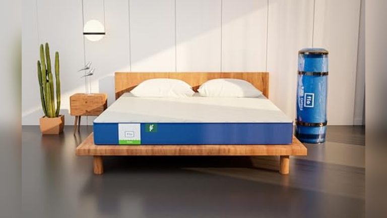 Best Affordable Non Toxic Mattress