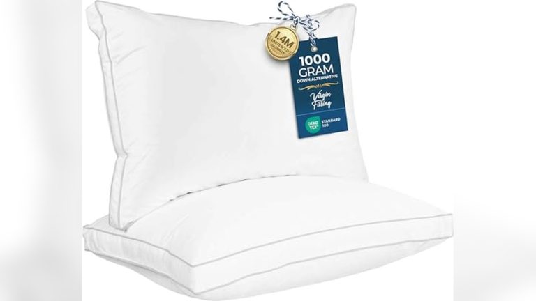 Best Alternative down Pillow