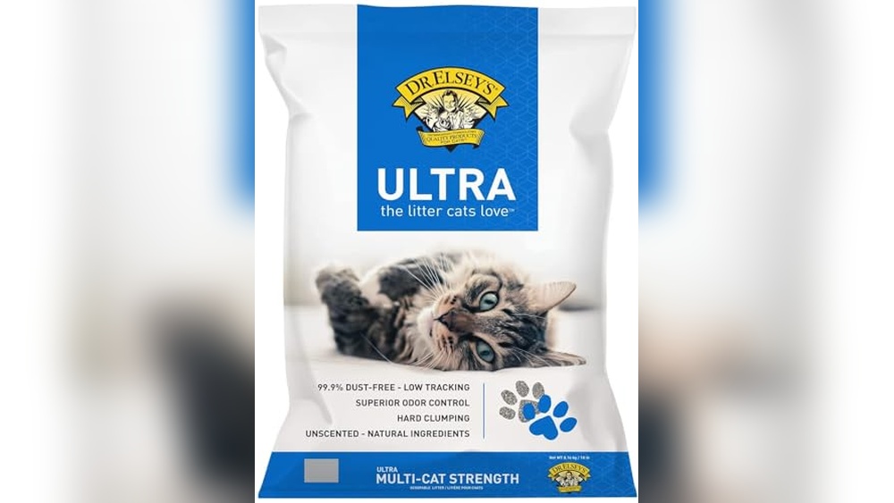 Best Cat Litter for Pillow Foot