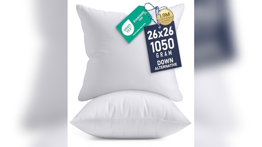 Best Euro Pillows