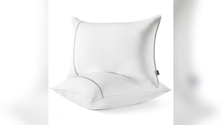 Best Firm Bed Pillows