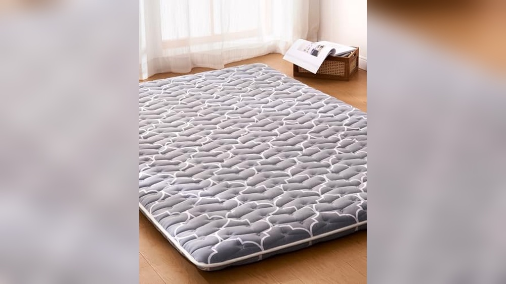 Best Futon Mattress for Back Pain