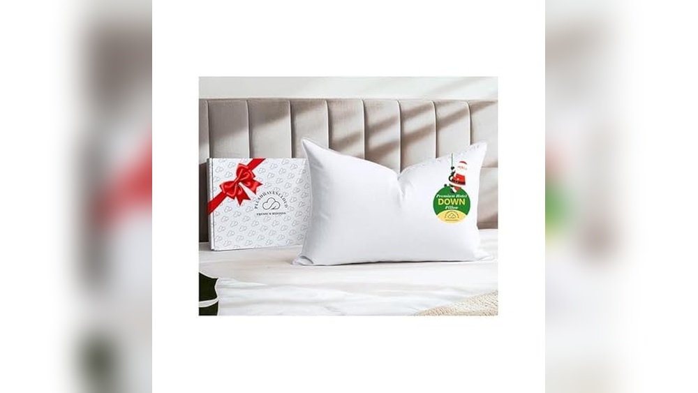 Best Hungarian Goose down Pillows