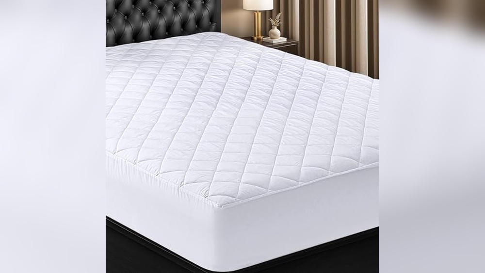 Best Mattress Pad Twin Xl