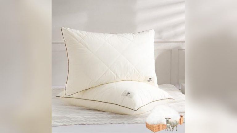 Best Wool Pillows