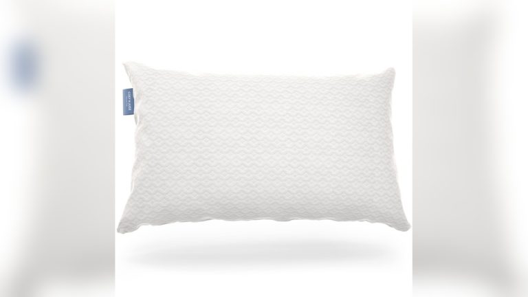 Cosy House Vs Coop Pillow