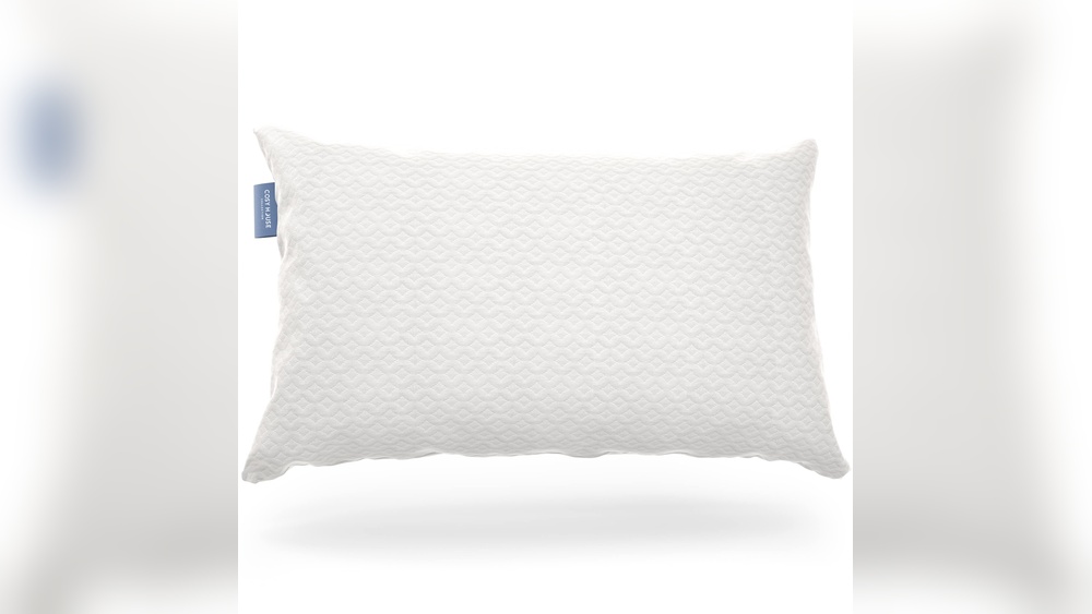 Cosy House Vs Coop Pillow