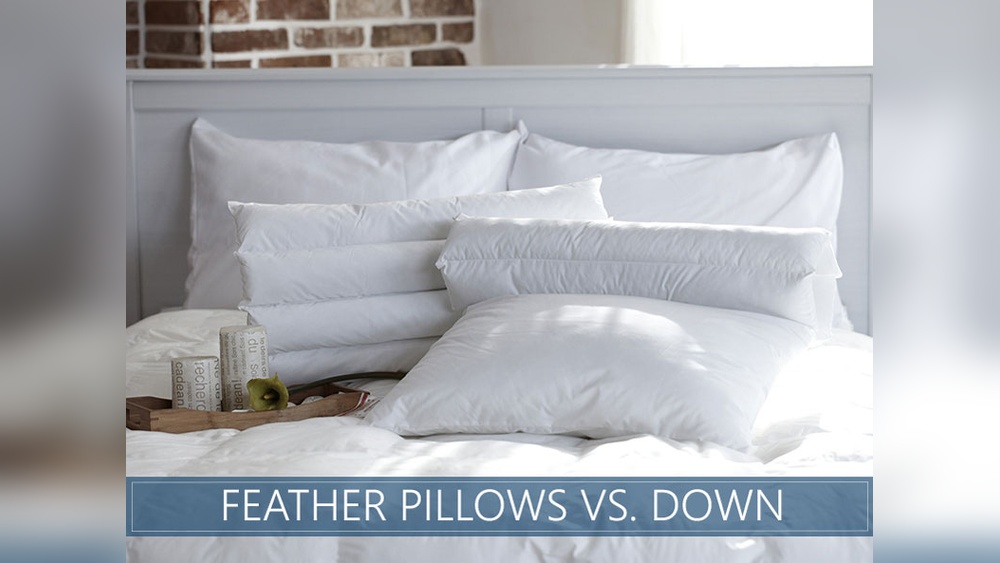 Down Vs Feather Pillows