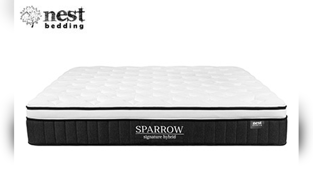 Dreamcloud Vs Nest