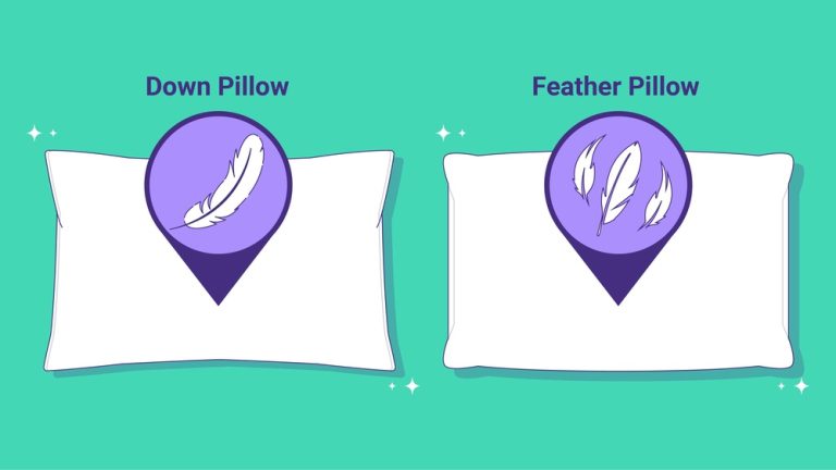 Duck down Vs Goose down Pillows