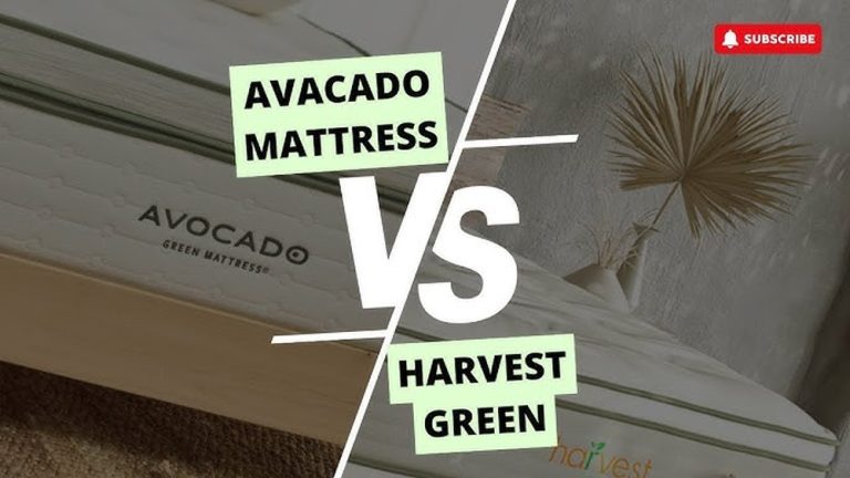 Harvest Green Mattress Vs Avocado
