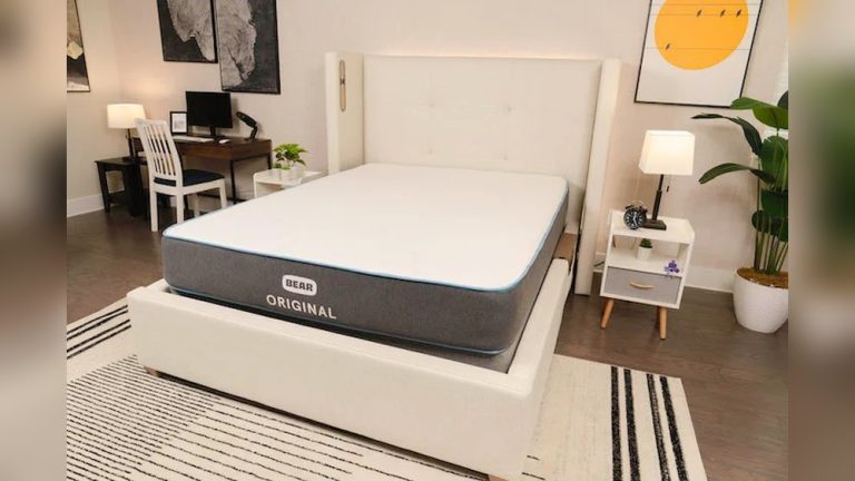 Nectar Vs Bear Mattress